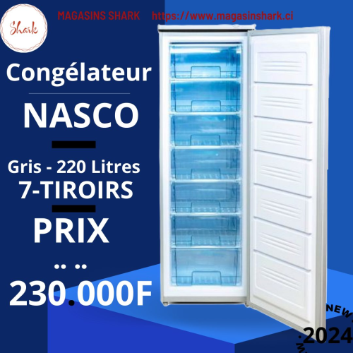 Congélateur NASCO 220.L