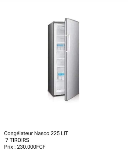 Congélateur Nasco 225 Litres