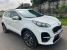 KIA MOTORS SPORTAGE 2018/2019