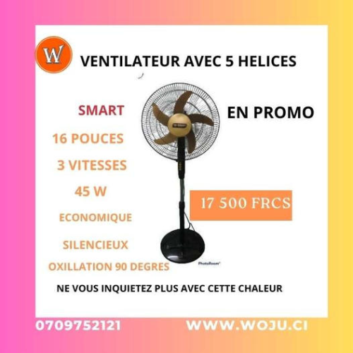 Smart Ventilateur Smart 16″ – STV-1614C
