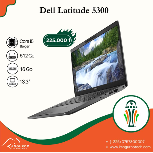 DELL LATTITUDE 5300