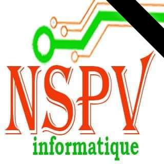 NSPV informatique